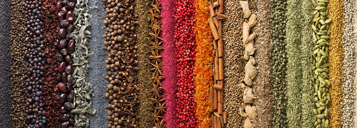 M_header_o_sabor_alimenta