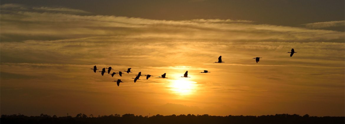 O-trabalho-natural-como-movimento-constante-desk