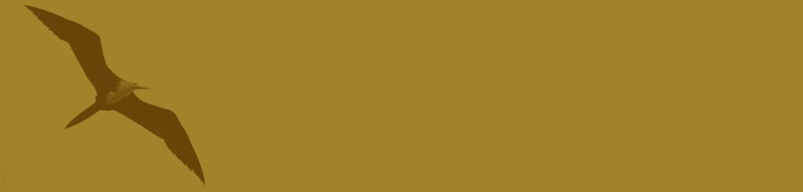 cvsm_a_paciencia_e_diretamente_proporcional_ao_proposito_header_desktop