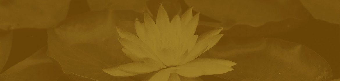 cvsm_epoca_bonita_do_ano_agora_chegando_natal_header_desktop