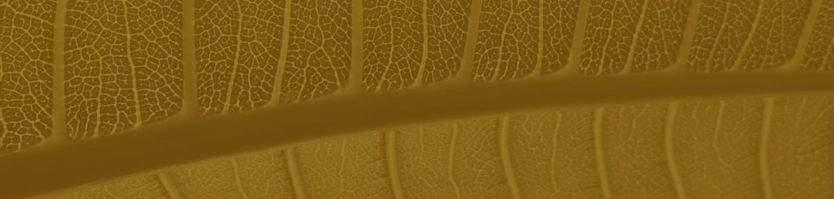 cvsm_essa_e_uma_hora_dedicada_a_um_outro_corpo_o_corpo_mental_header_desktop