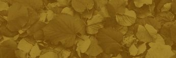 cvsm_fatos_acontecem_como_a_morte_header_mobile cvsm_fatos_acontecem_como_a_morte_header_mobile