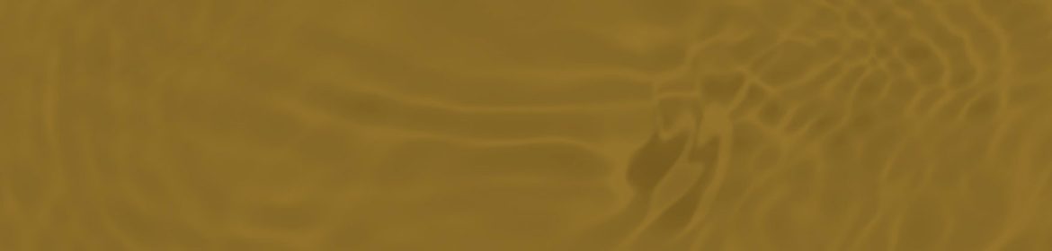 cvsm_parte_03_desktop_17