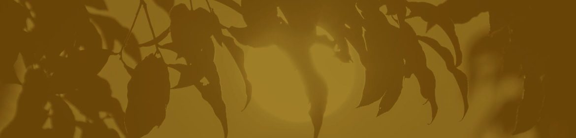 cvsm_por_que_e_essa_a_hora_header_desktop