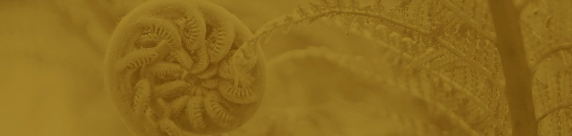 cvsm_sabemos_da_enorme_dificuldade_header_desktop cvsm_sabemos_da_enorme_dificuldade_header_desktop