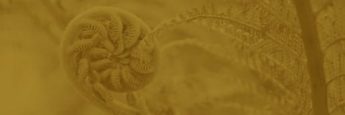 cvsm_sabemos_da_enorme_dificuldade_header_mobile cvsm_sabemos_da_enorme_dificuldade_header_mobile