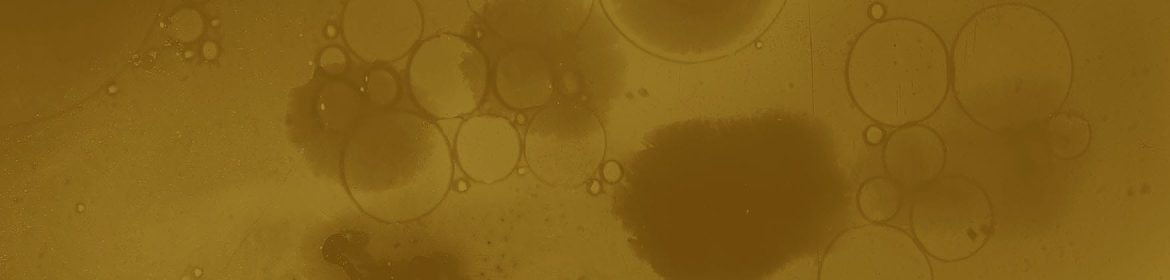 cvsm_um_dia_nao_havera_sombra_header_desktop