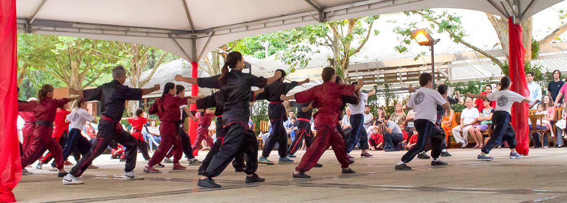 por-que-arte-marcial